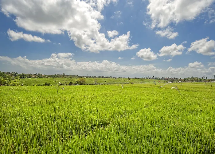 Yenian By Finder Villa Canggu